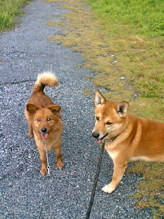 f0082925_13123424.jpg