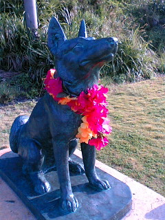 f0082925_13164729.jpg