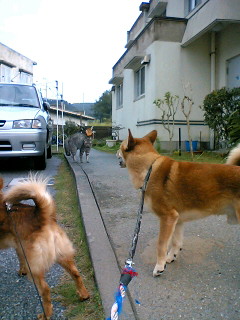 f0082925_13171316.jpg