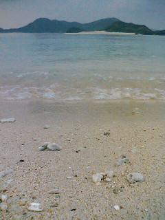 f0082925_1317425.jpg