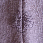 d0048332_2133463.gif