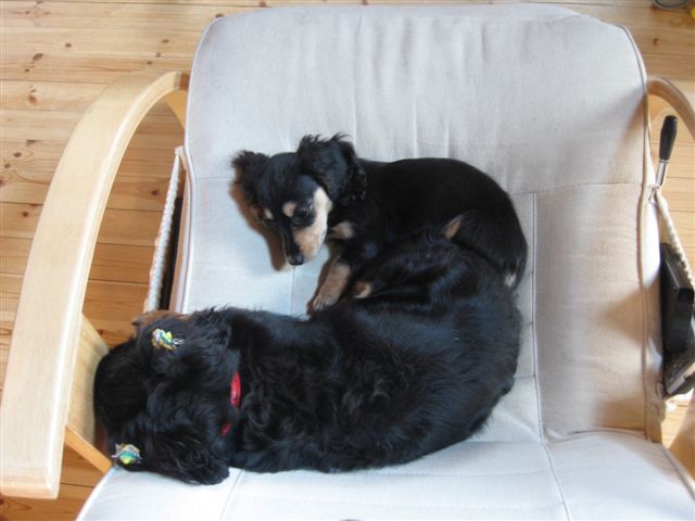 f0002532_11522731.jpg