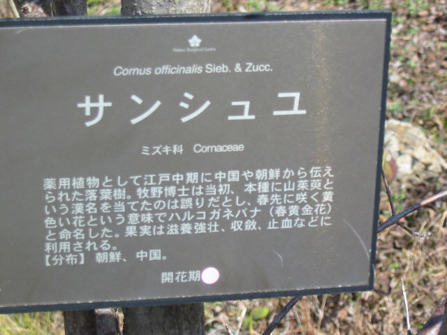 f0105732_17143737.jpg