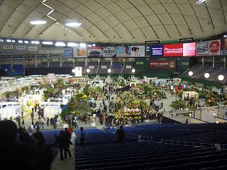 a0072737_23441690.jpg