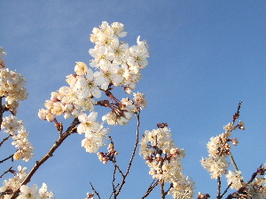 a0054240_2184014.jpg