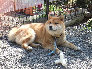 a0054240_2192063.jpg