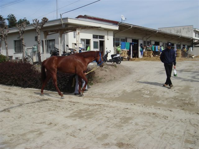 e0067640_21193885.jpg