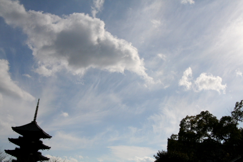 a0024250_2393273.jpg