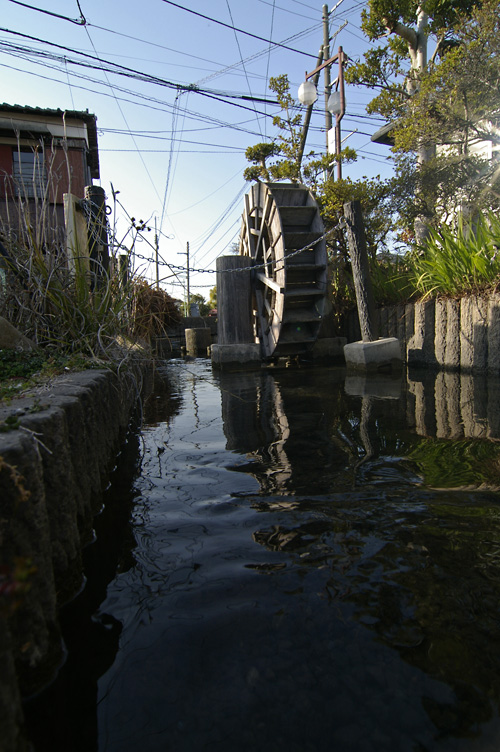 d0100156_22192667.jpg