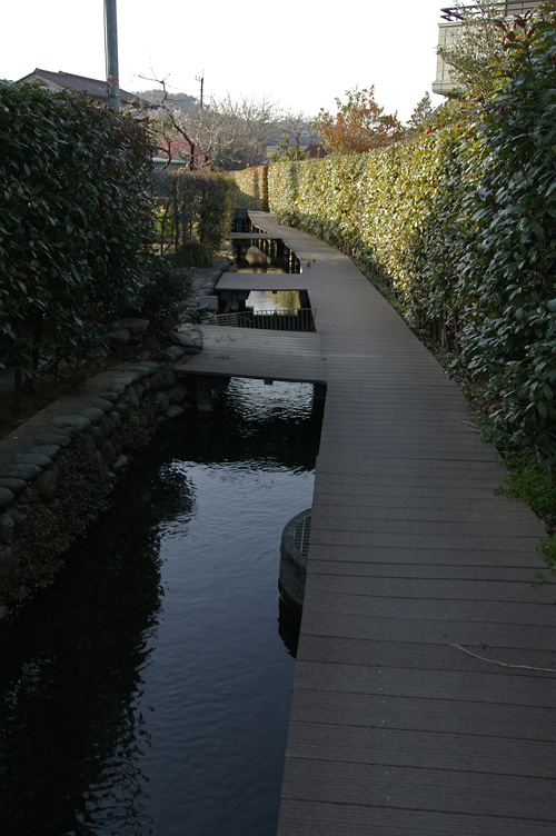 d0100156_22212094.jpg