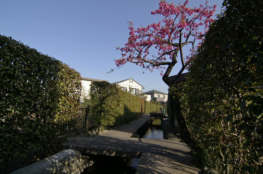 d0100156_2242689.jpg