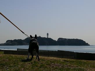 f0110861_1159328.jpg