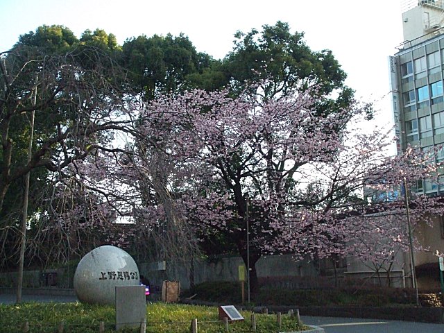 a0015766_21503927.jpg