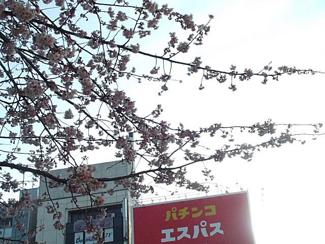 a0015766_21535050.jpg