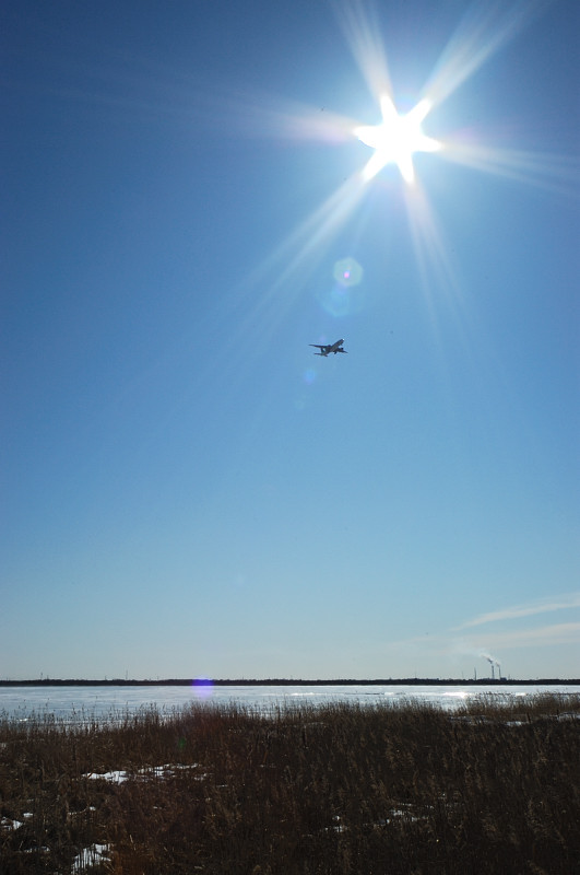 c0084666_226374.jpg