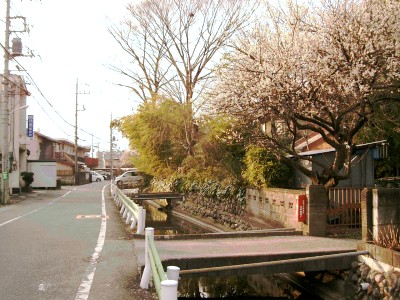 c0112172_4532698.jpg