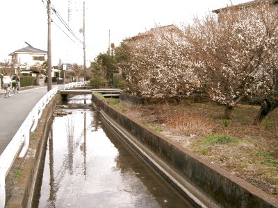 c0112172_4571375.jpg