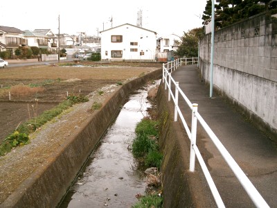 c0112172_4574147.jpg