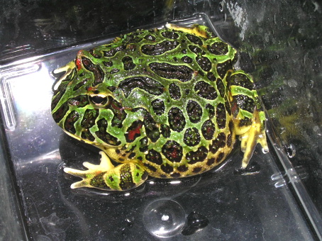 e0099576_1421145.jpg