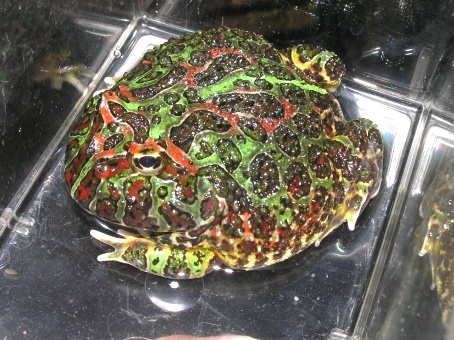 e0099576_1421783.jpg