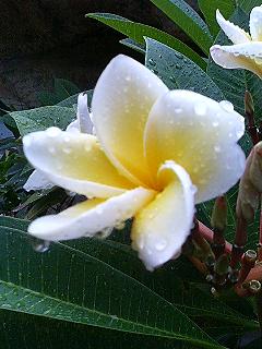 f0054677_8244522.jpg