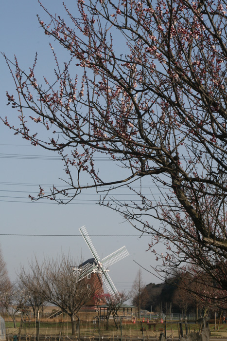 b0089483_140445.jpg