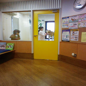 c0049489_22463430.jpg