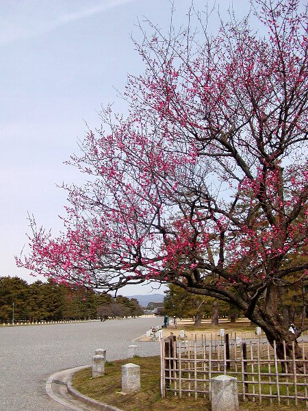 c0057390_234891.jpg