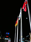 c0032392_2213948.jpg