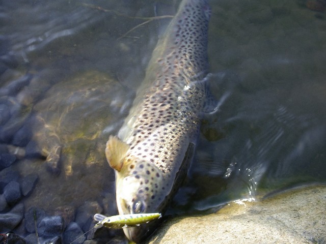 f0092492_19123512.jpg