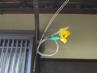 b0061107_005078.jpg