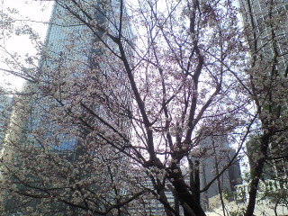 a0067613_23524612.jpg