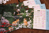 e0076714_0154439.jpg