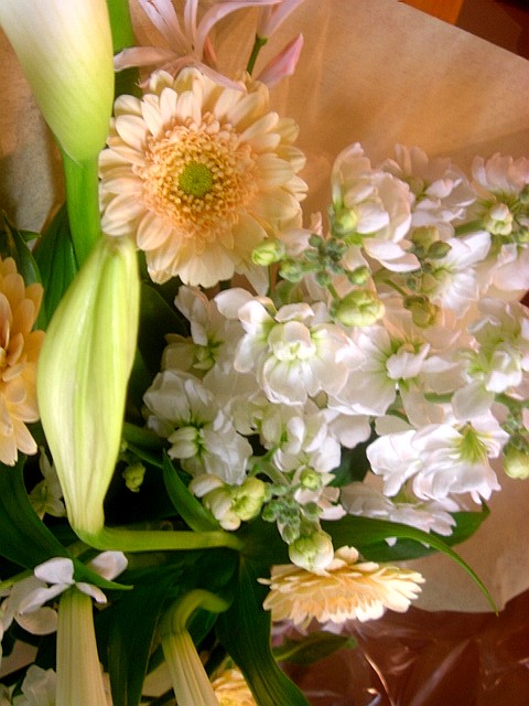 c0003723_1411621.jpg