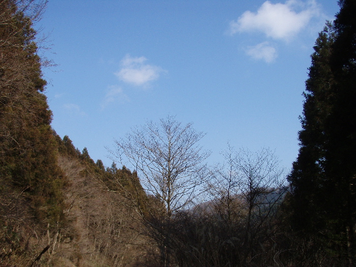 f0103126_22212258.jpg