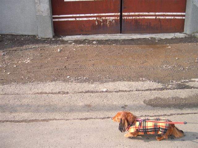 e0066733_2144747.jpg