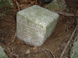 c0077338_22164728.jpg
