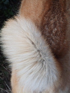 a0054240_11234928.jpg