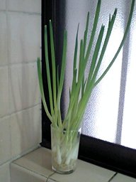 b0039840_22551158.jpg