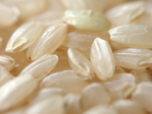 a0054043_20282991.jpg