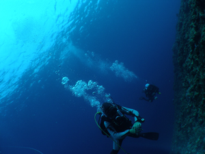 d0065247_21454816.jpg