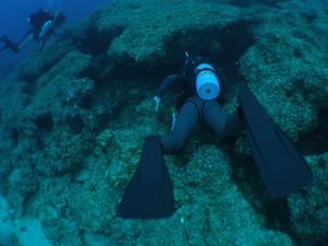 d0065247_21495318.jpg