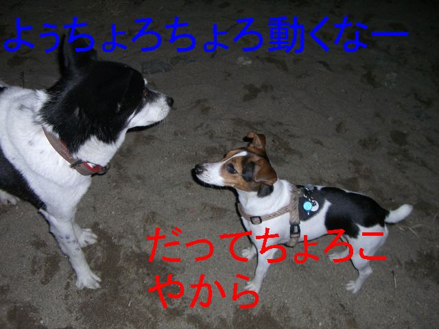 f0053952_13151252.jpg
