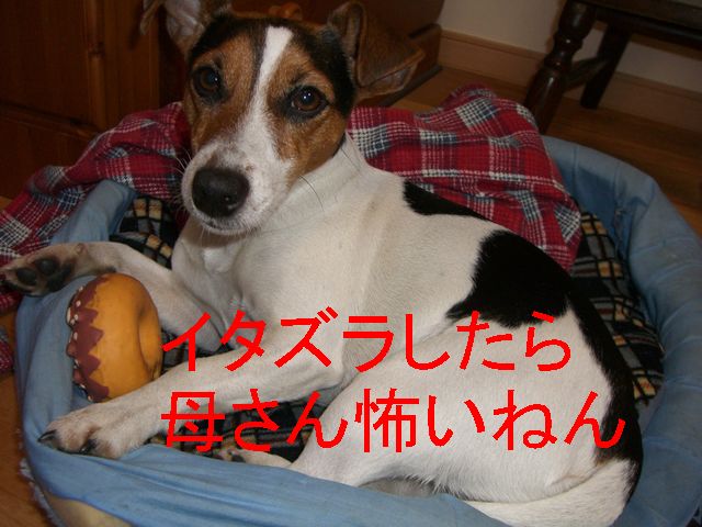 f0053952_13233178.jpg