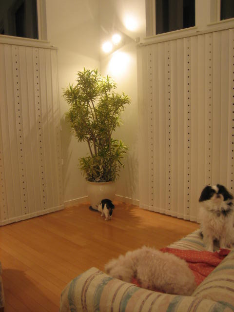 f0076952_23553451.jpg