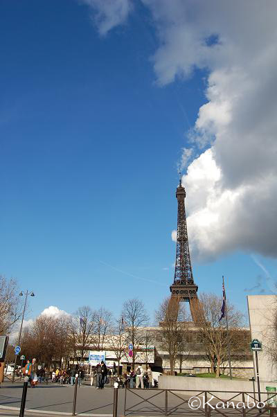 f0099556_6584799.jpg