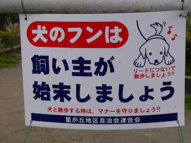 b0024266_1413953.jpg