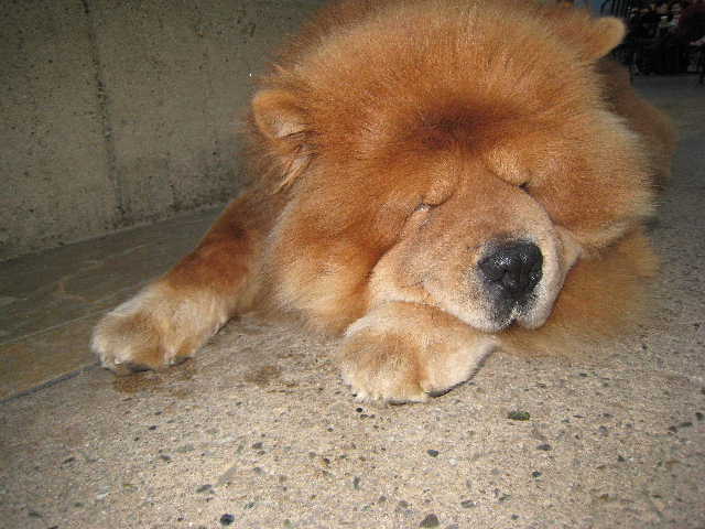 c0115366_2344819.jpg