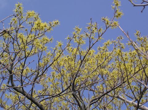 c0042869_16304253.jpg
