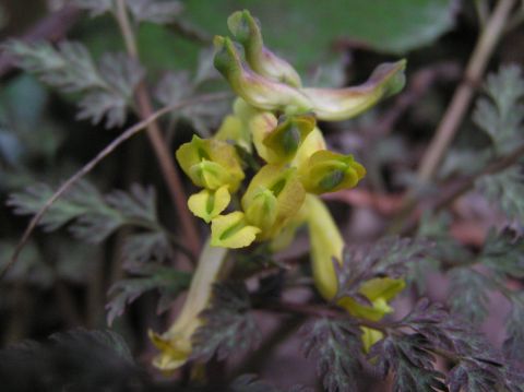 c0042869_16323991.jpg